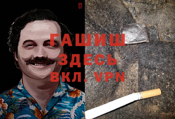 индика Грязовец