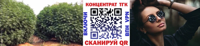 даркнет сайт  ссылка на мегу маркетплейс  Дистиллят ТГК вейп с тгк  Суздаль 